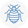 Bed Bug Extermination In Coulsdon