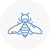 Bee Nest Removal Coulsdon