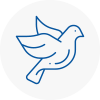 Bird Prevention Coulsdon