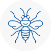 Coulsdon Hornet Nest Removals