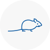 Mice Exterminators In Coulsdon