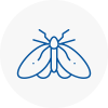 Moth Control Specialists In Coulsdon