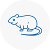Rat Control Coulsdon