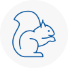 Coulsdon Rodent Removals
