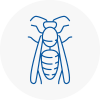 Coulsdon Wasp Nest Removal